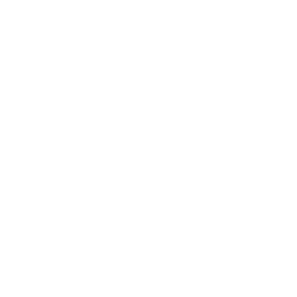 Williams Logo