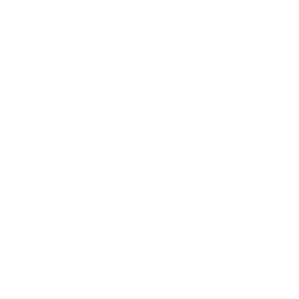 Supertec normally aspirated 3 litre V10 